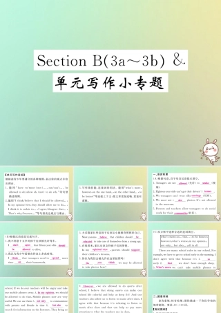 九年级英语全册 Unit 7 Teenagers should be allowed to choose their own clothes Section B(3a 3b) 单元写作小专题课件 (新版)人教新目标版 课件