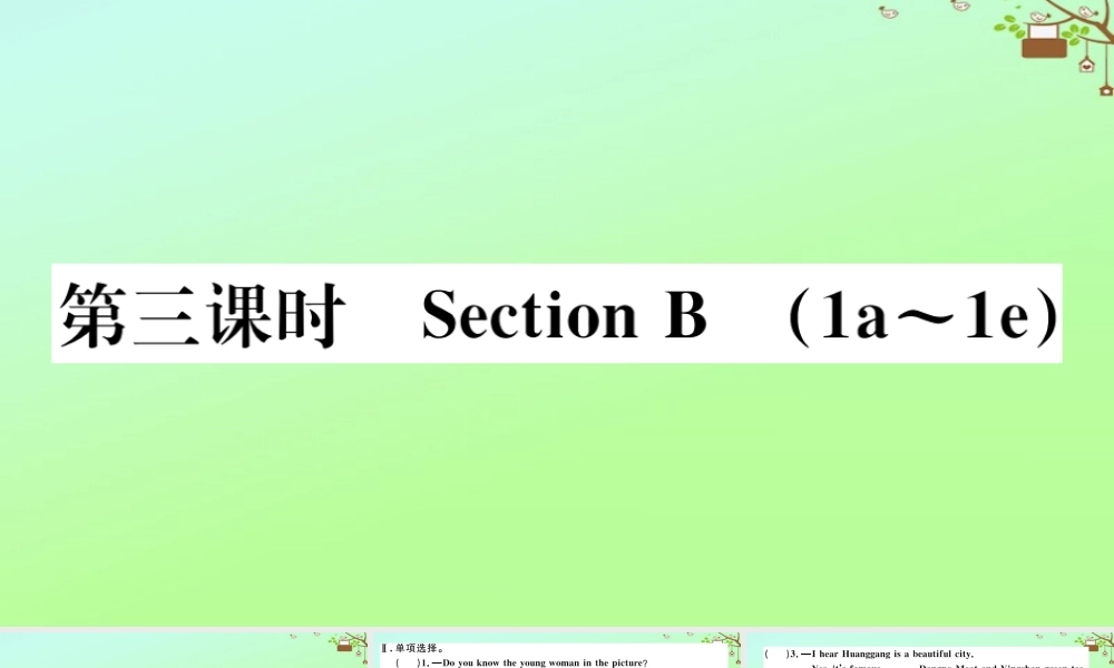 九年级英语全册 Unit 5 What are the shirts made of(第3课时)作业课件 (新版)人教新目标版 课件