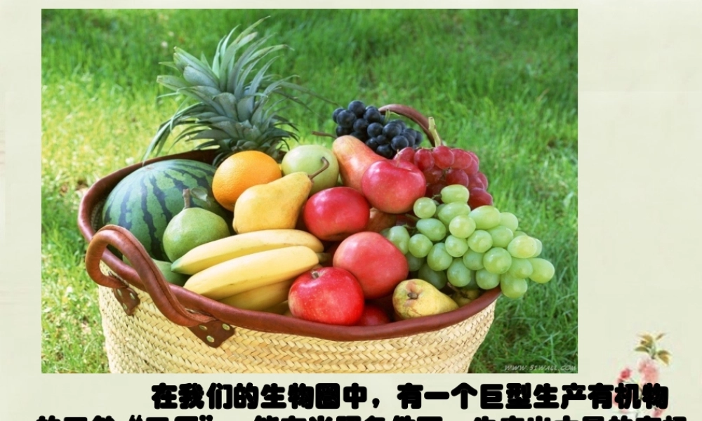 中学七年级生物上册 3.4 绿色植物是生物圈中有机物的制造者课件 (新版)新人教版 课件