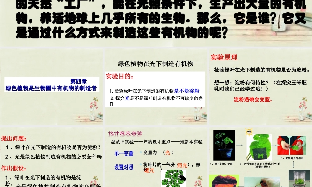 中学七年级生物上册 3.4 绿色植物是生物圈中有机物的制造者课件 (新版)新人教版 课件
