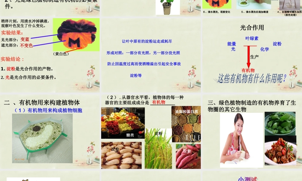 中学七年级生物上册 3.4 绿色植物是生物圈中有机物的制造者课件 (新版)新人教版 课件