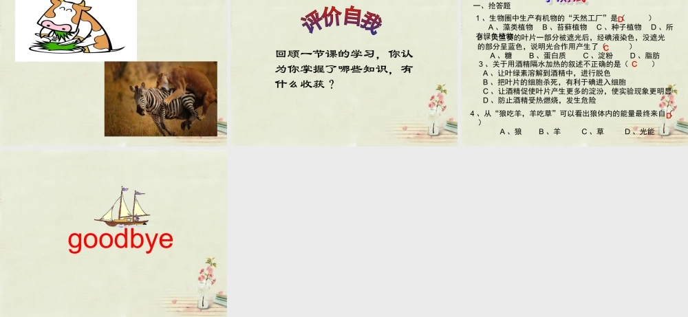 中学七年级生物上册 3.4 绿色植物是生物圈中有机物的制造者课件 (新版)新人教版 课件