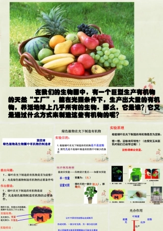 中学七年级生物上册 3.4 绿色植物是生物圈中有机物的制造者课件 (新版)新人教版 课件