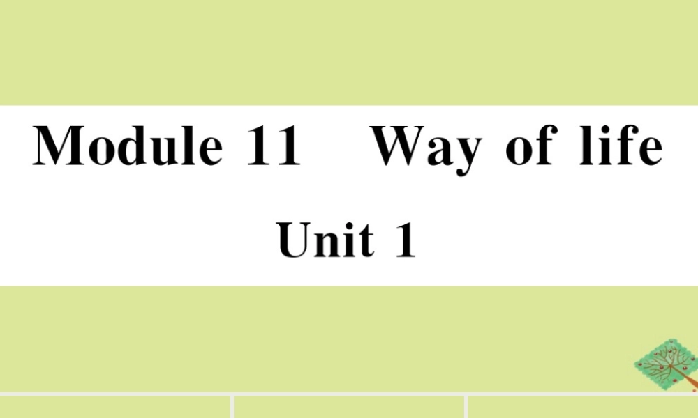八年级英语上册 Module 11 Way of life Unit 1 In China，we open a gift later (小册子)作业课件 (新版)外研版 课件