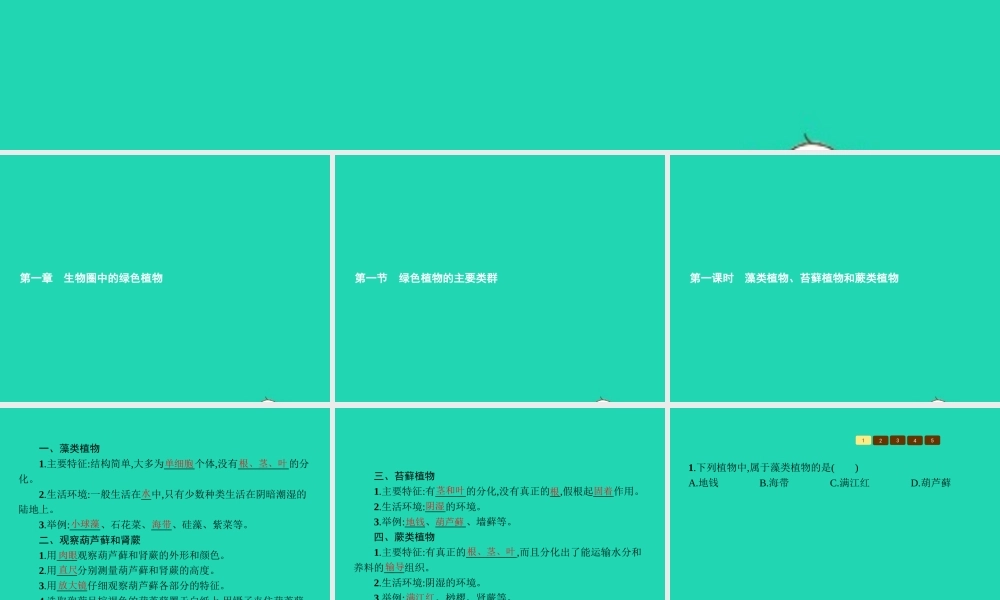 七年级生物上册 2.1.1 绿色植物的主要类群(第1课时 藻类植物 苔藓植物和蕨类植物)课件 (新版)济南版 课件