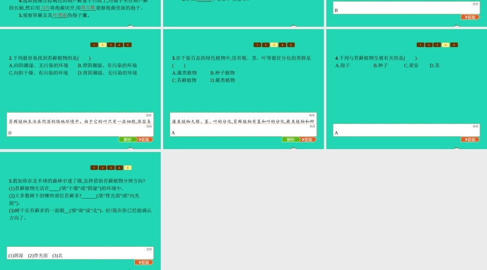 七年级生物上册 2.1.1 绿色植物的主要类群(第1课时 藻类植物 苔藓植物和蕨类植物)课件 (新版)济南版 课件