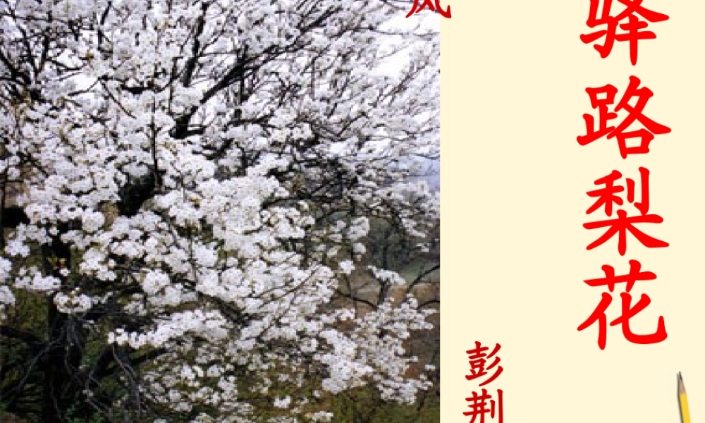 七年级语文上册 2.9(驿路梨花)课件 北京课改版 课件