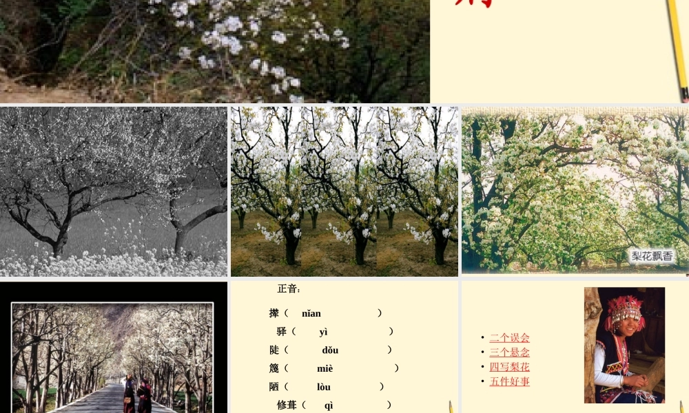 七年级语文上册 2.9(驿路梨花)课件 北京课改版 课件
