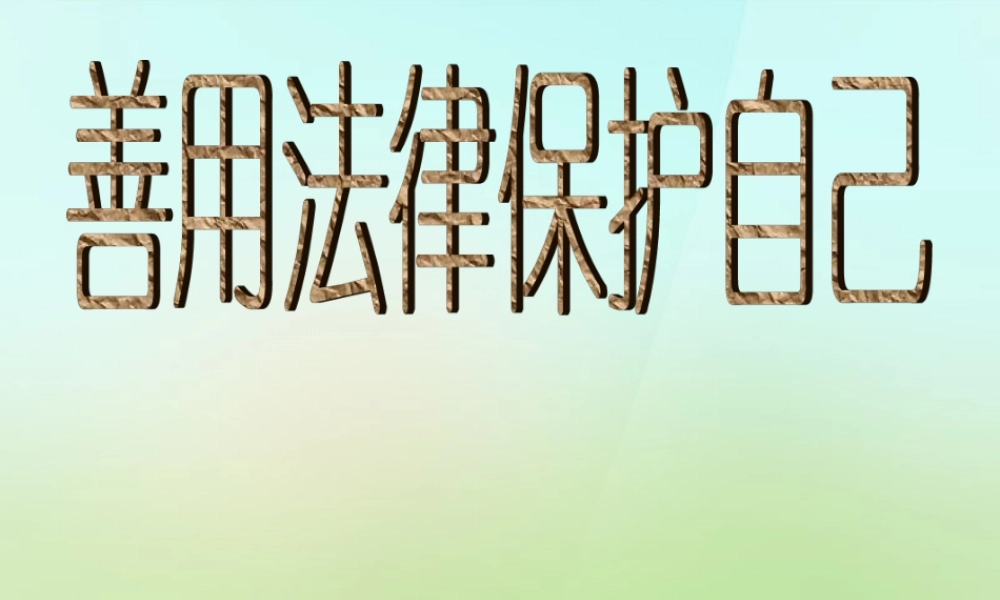 中学七年级政治下册 8.2 善用法律保护自己课件1 新人教版 课件
