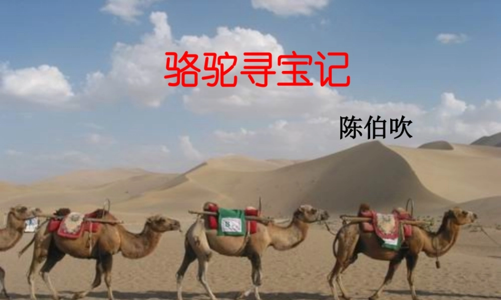七年级语文下册(骆驼寻宝记)精品课件 语文版 课件