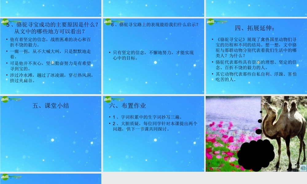 七年级语文下册(骆驼寻宝记)精品课件 语文版 课件