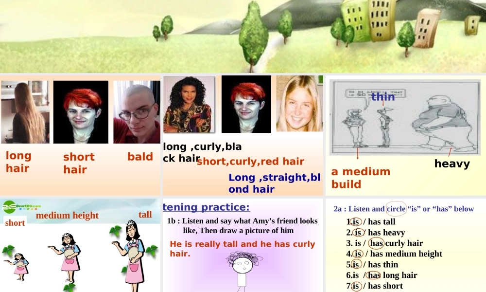 七年级英语上册 Unit 3 What does he look like 课件 鲁教版 课件