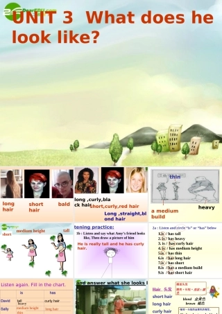 七年级英语上册 Unit 3 What does he look like 课件 鲁教版 课件