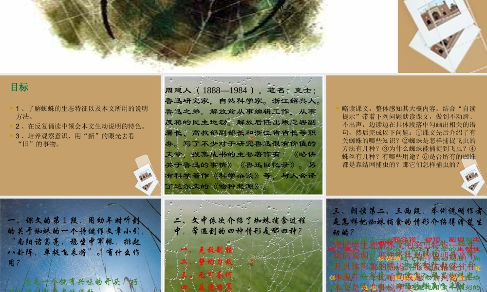 中学七年级语文下册 第17课(蜘蛛)课件 冀教版 课件