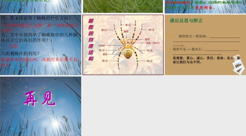 中学七年级语文下册 第17课(蜘蛛)课件 冀教版 课件