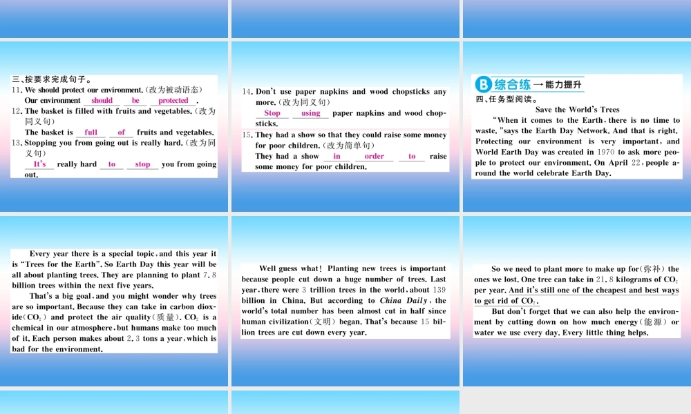 九年级英语全册 Unit 13 We re trying to save the earth(第4课时)习题课件 (新版)人教新目标版 课件