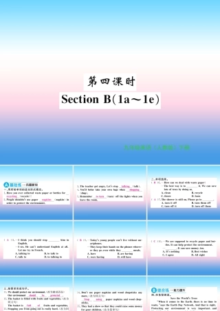 九年级英语全册 Unit 13 We re trying to save the earth(第4课时)习题课件 (新版)人教新目标版 课件