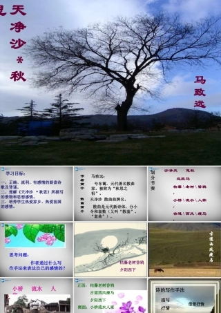 七年级语文上册 第15课 古代诗歌四首(天净沙秋思)课件 新人教版 课件