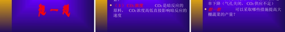 七年级生物绿色植物的新陈代谢课件2 新课标 人教版 课件