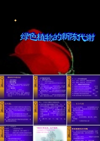 七年级生物绿色植物的新陈代谢课件2 新课标 人教版 课件