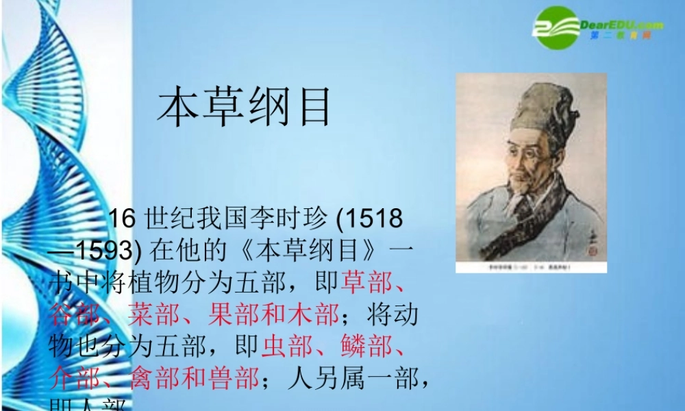 八年级生物 第二学期(试验本)第4章第四节 生物的分类 1课件 上海版 课件