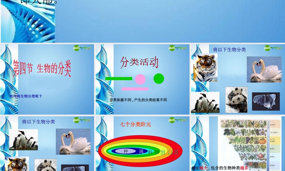 八年级生物 第二学期(试验本)第4章第四节 生物的分类 1课件 上海版 课件