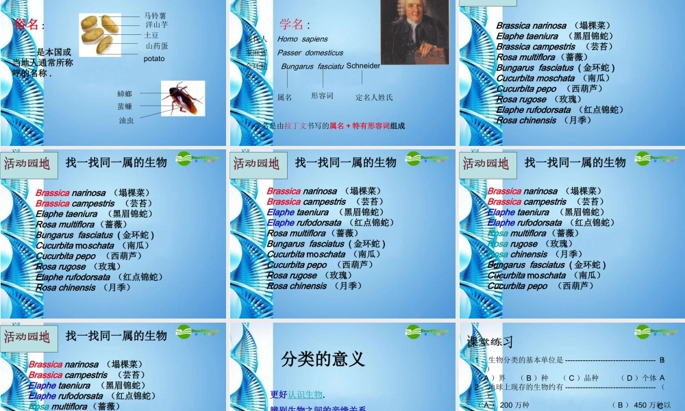 八年级生物 第二学期(试验本)第4章第四节 生物的分类 1课件 上海版 课件