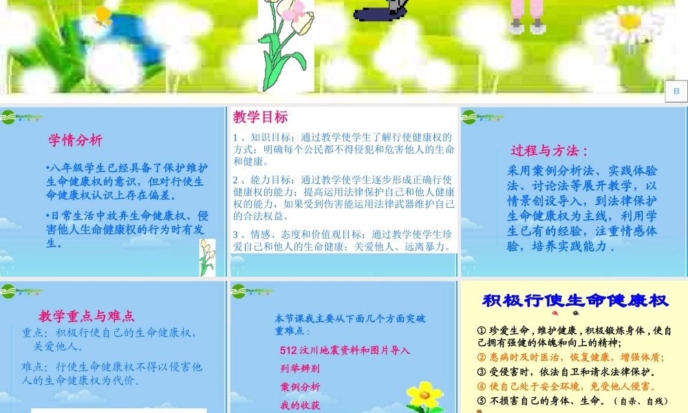 八年级政治下册 同样的权利，同样的爱护课件 人教新课标版 课件