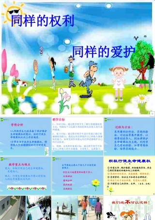 八年级政治下册 同样的权利，同样的爱护课件 人教新课标版 课件