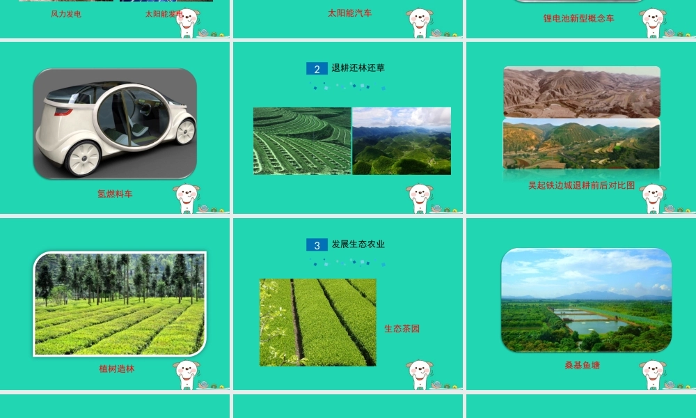 七年级生物下册 4.7.3(拟定保护生态环境的计划)演示课件 (新版)新人教版 课件