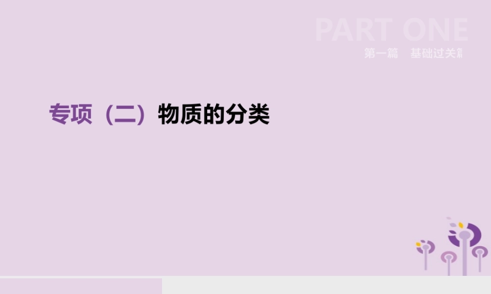中考化学复习 第一篇 基础过关篇 专项02 物质的分类课件