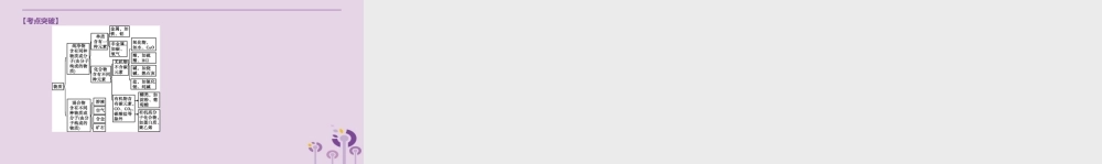 中考化学复习 第一篇 基础过关篇 专项02 物质的分类课件