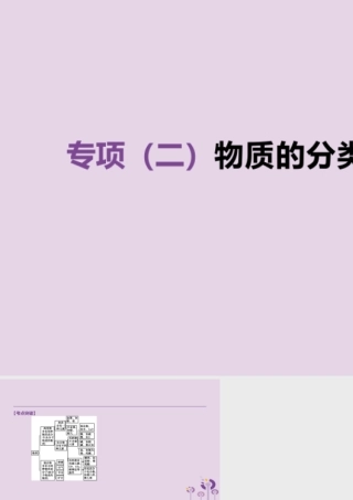 中考化学复习 第一篇 基础过关篇 专项02 物质的分类课件