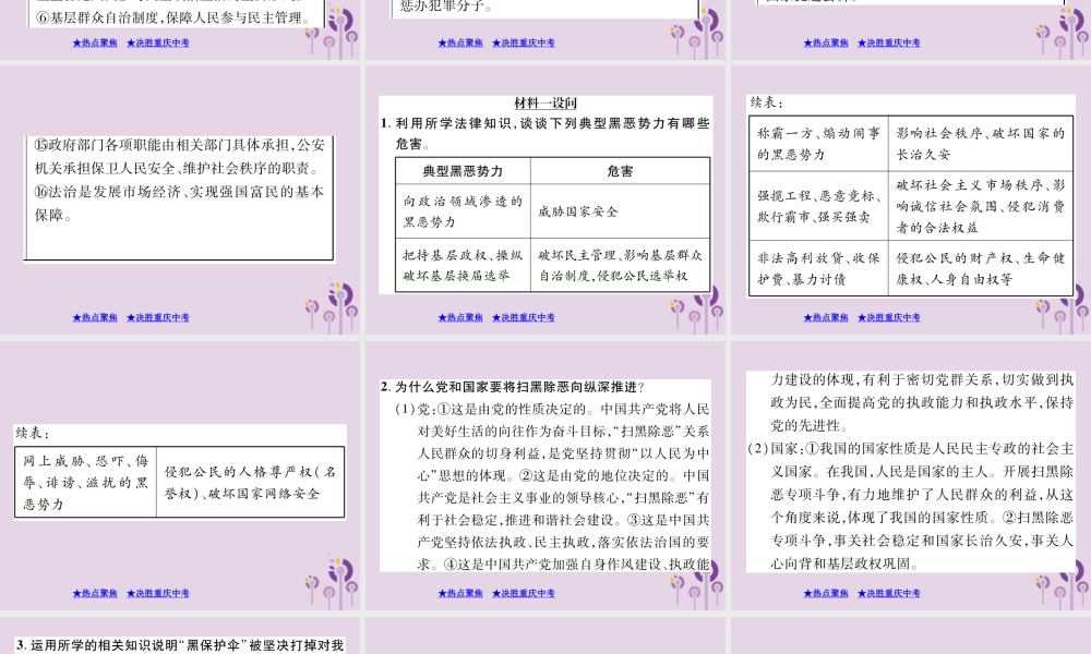 决胜中考道德与法治热点专题复习 专题二 落实依法治国 开展扫黑除恶专项斗争课件