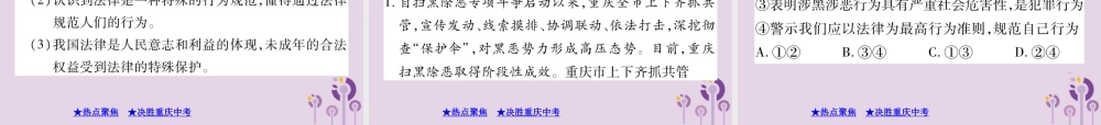 决胜中考道德与法治热点专题复习 专题二 落实依法治国 开展扫黑除恶专项斗争课件