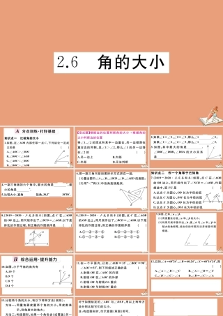 学上册 第二章 几何图形的初步认识 2.6 角的大小作业课件 (新版)冀教版 课件