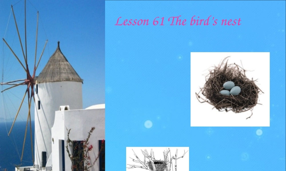 七年级英语上学期 看听学61-62课课件 人教新目标版 课件