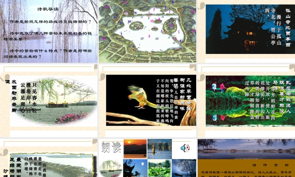 八年级语文上册(钱塘湖春行)课件6长春版 课件