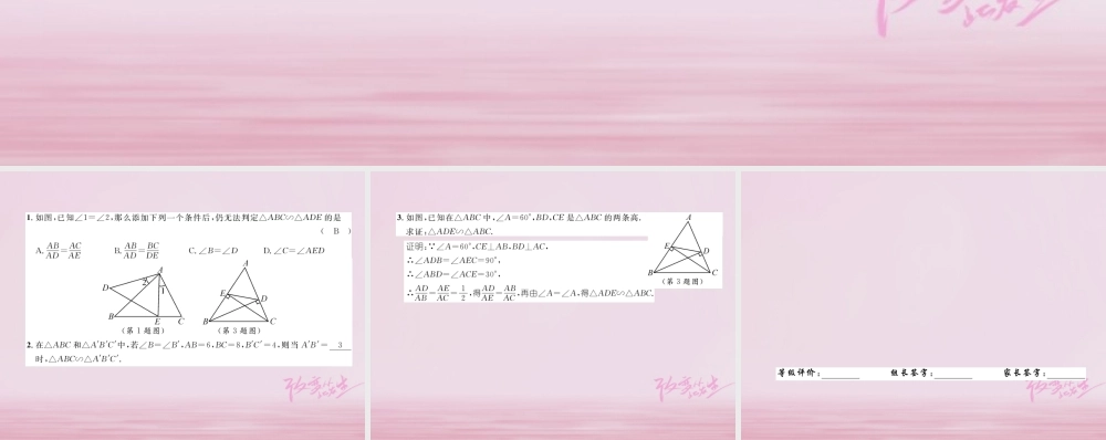 九年级数学上册 44 探索三角形相似的条件 第2课时 两边成比例且夹角相等的两个三角形相似练习课件 (新版)北师大版 课件