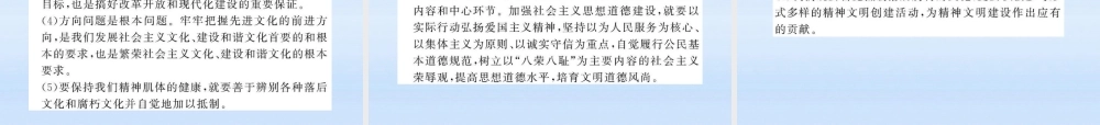 中考政治全程复习课件 专题5学习先进人物 将强精神文明建设课件 人教新课标版 课件