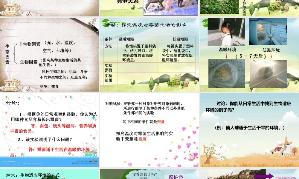 七年级生物上册第一章第2节 生物与环境的相互影响课件 北师大版 课件