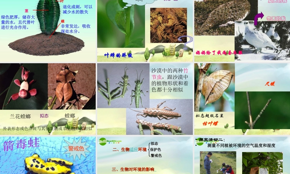 七年级生物上册第一章第2节 生物与环境的相互影响课件 北师大版 课件