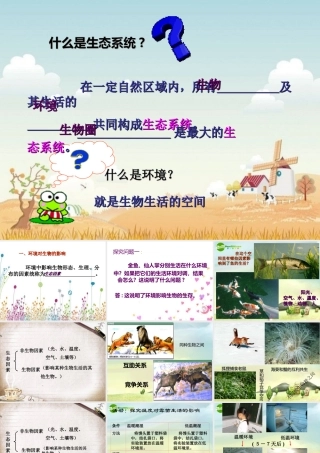 七年级生物上册第一章第2节 生物与环境的相互影响课件 北师大版 课件