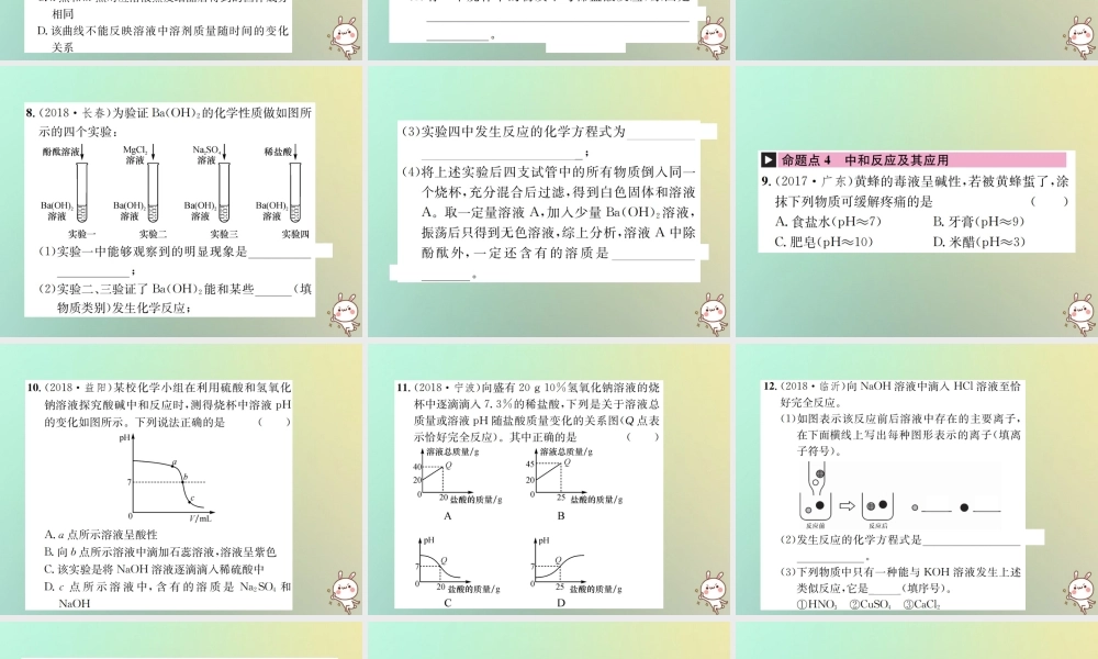 中考化学复习 主题一 身边的化学物质 第6讲 酸和碱课件