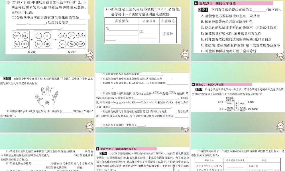 中考化学复习 主题一 身边的化学物质 第6讲 酸和碱课件