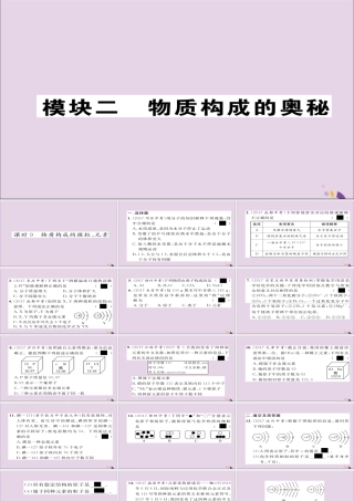 中考化学复习 第一编 教材知识梳理篇 模块二 物质构成的奥秘 课时9 物质构成的微粒、元素课件
