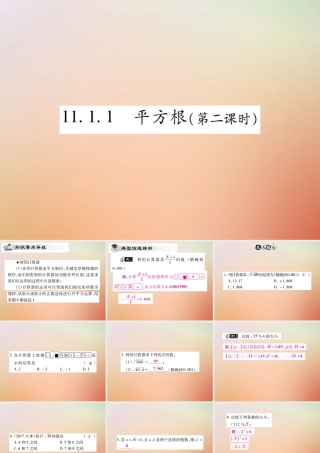 八年级数学上册 第11章 数的开方 11.1 平方根与立方根 11.1.1 平方根(第2课时)课时检测课件 (新版)华东师大版 课件