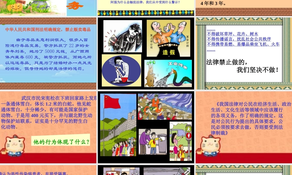 八年级政治册 公民的义务课件 下人教新课标版 课件