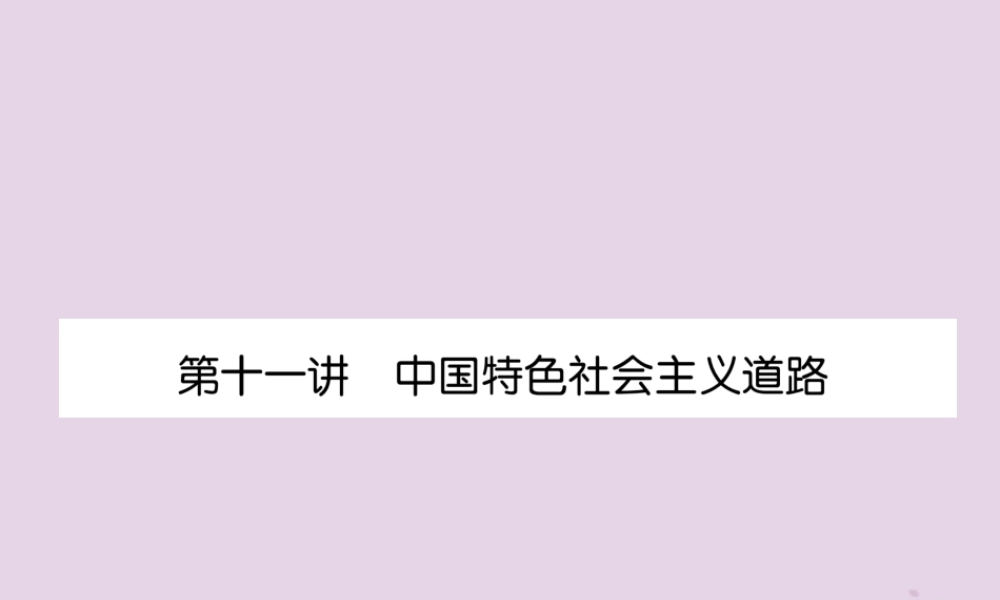 中考历史总复习 第一编 教材知识速查篇 模块二 中国现代史 第11讲 中国特色社会主义道路(精练)课件