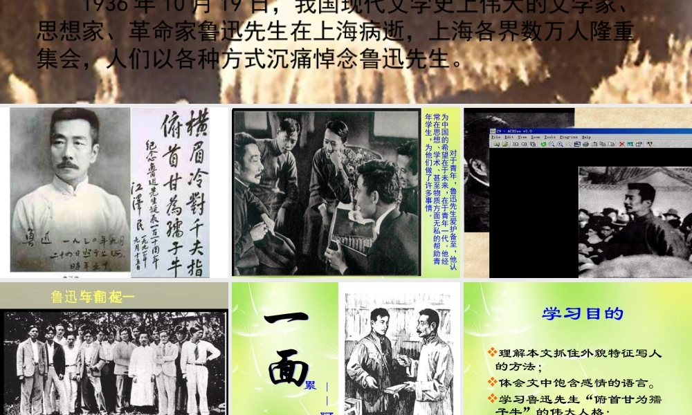 中学七年级语文下册 2 一面课件 (新版)苏教版 课件